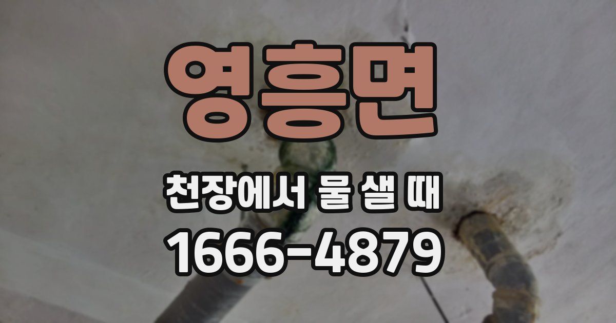 영흥면 천장에서 물 샐 때