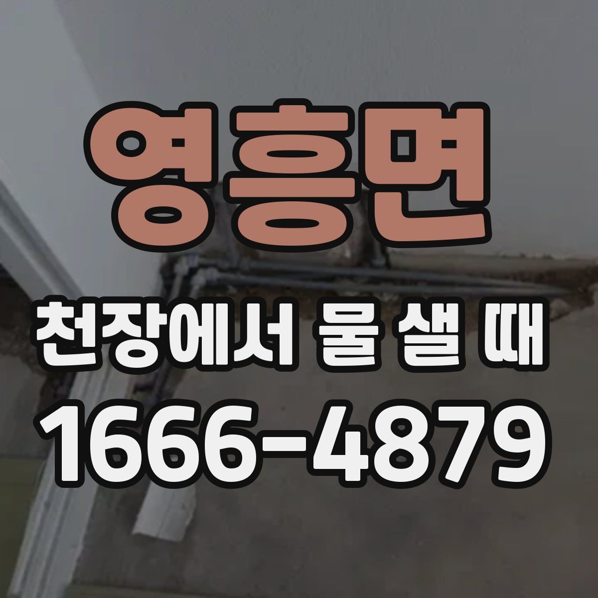 영흥면 천장에서 물 샐 때