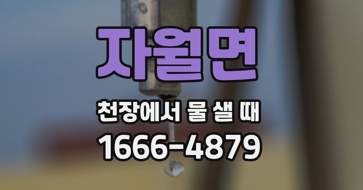 자월면 천장에서 물 샐 때