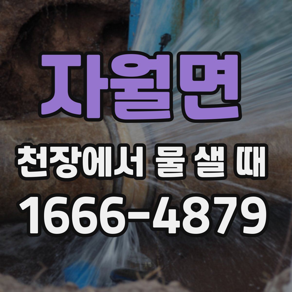 자월면 천장에서 물 샐 때