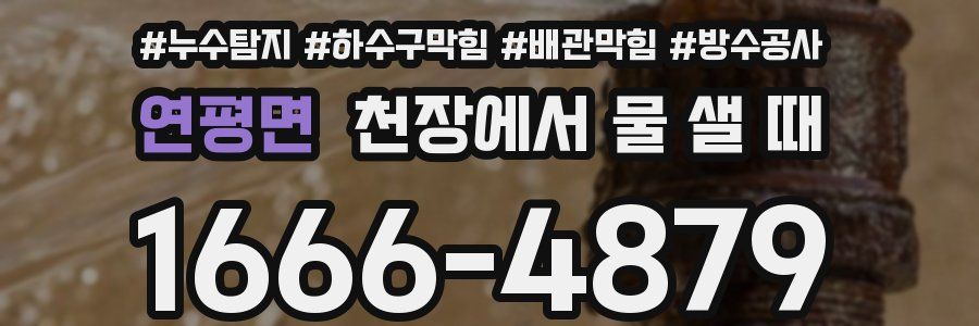 연평면 천장에서 물 샐 때