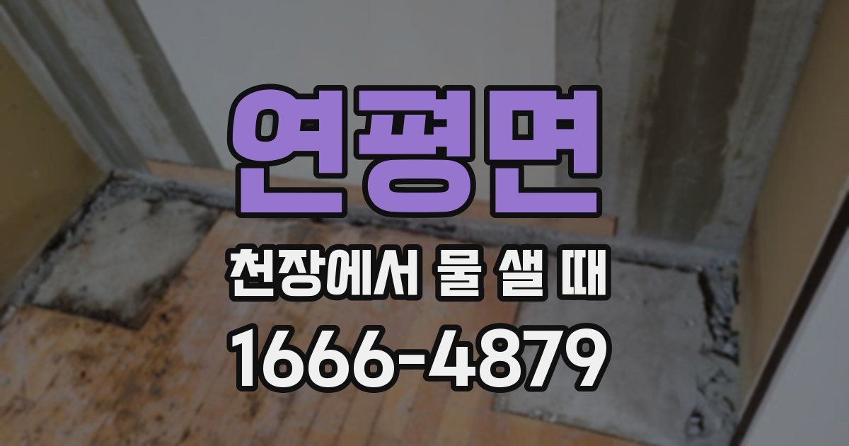 연평면 천장에서 물 샐 때