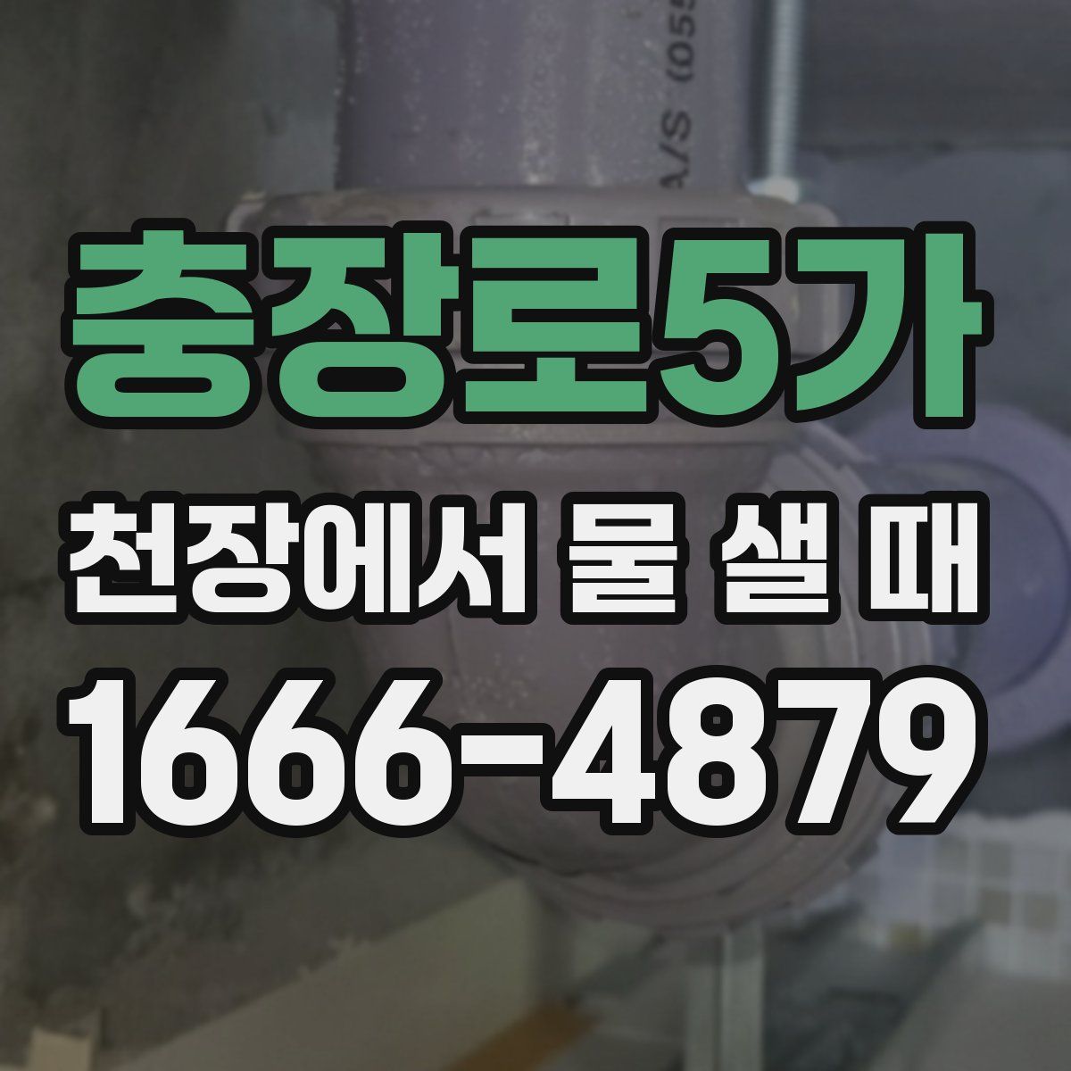 충장로5가 천장에서 물 샐 때