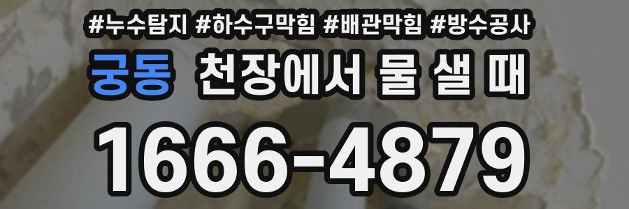 궁동 천장에서 물 샐 때