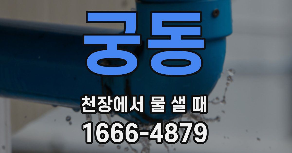 궁동 천장에서 물 샐 때