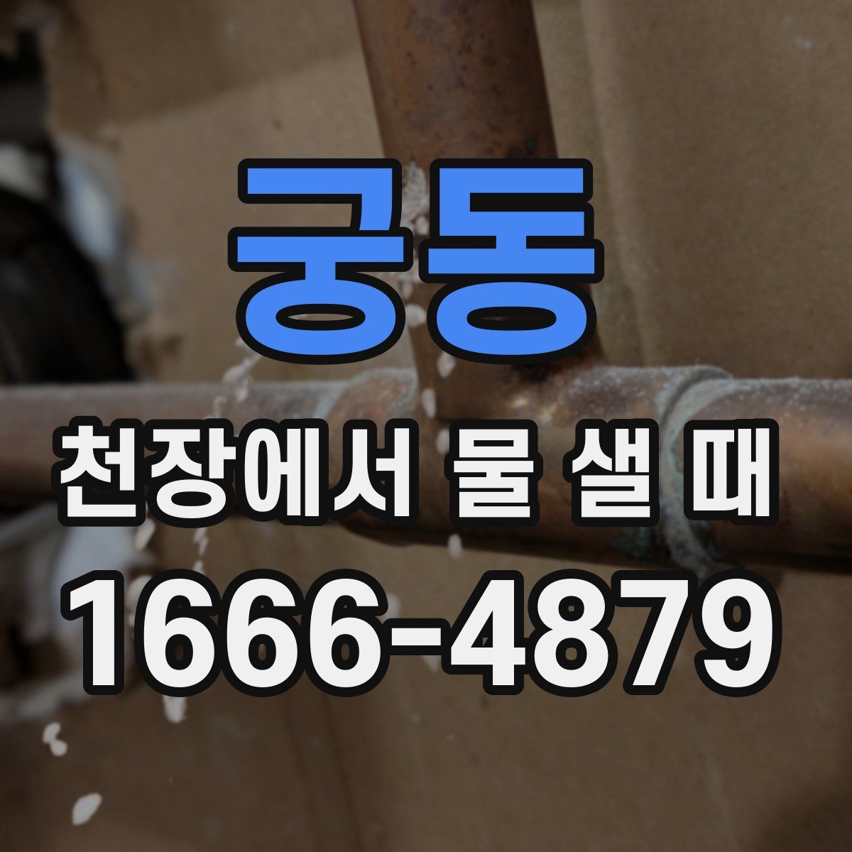 궁동 천장에서 물 샐 때