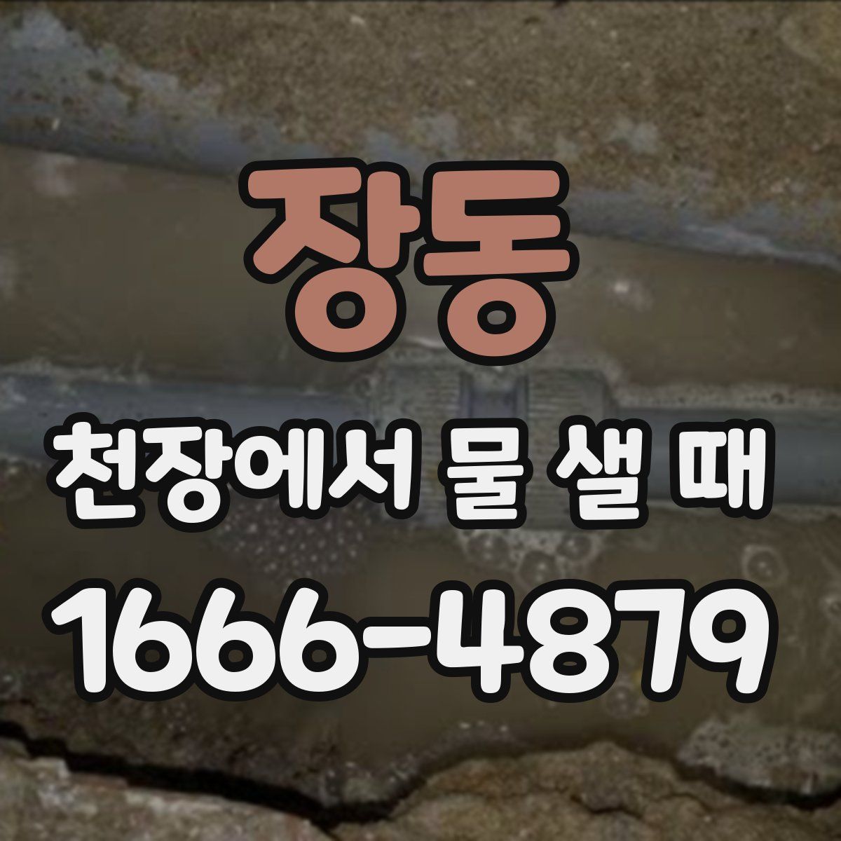 장동 천장에서 물 샐 때