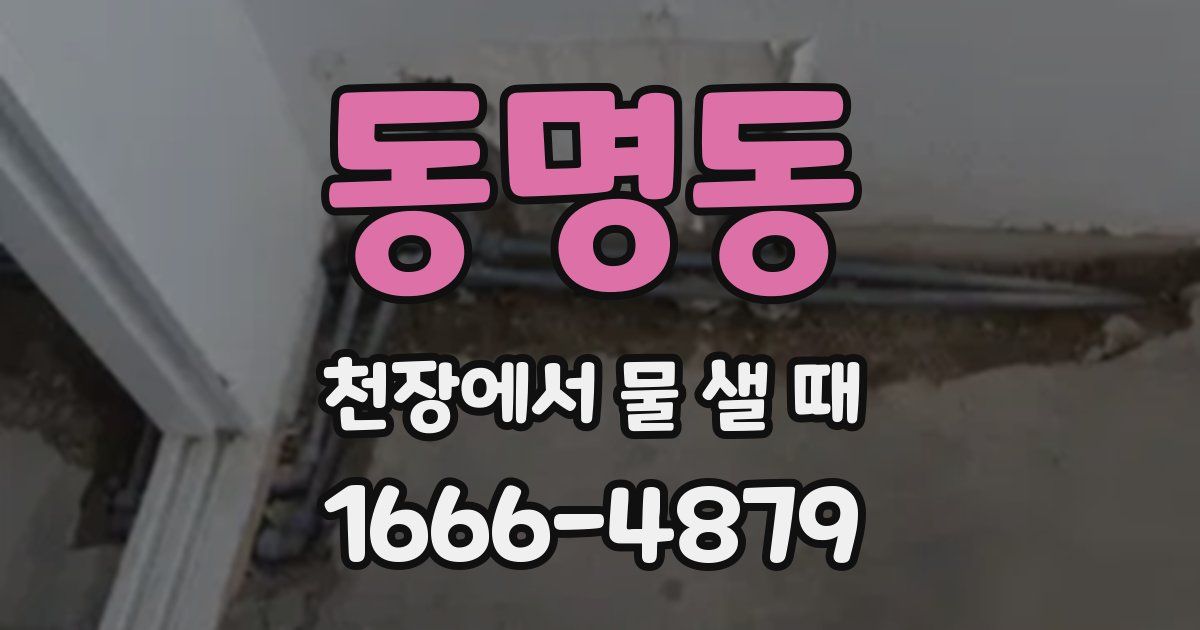 동명동 천장에서 물 샐 때