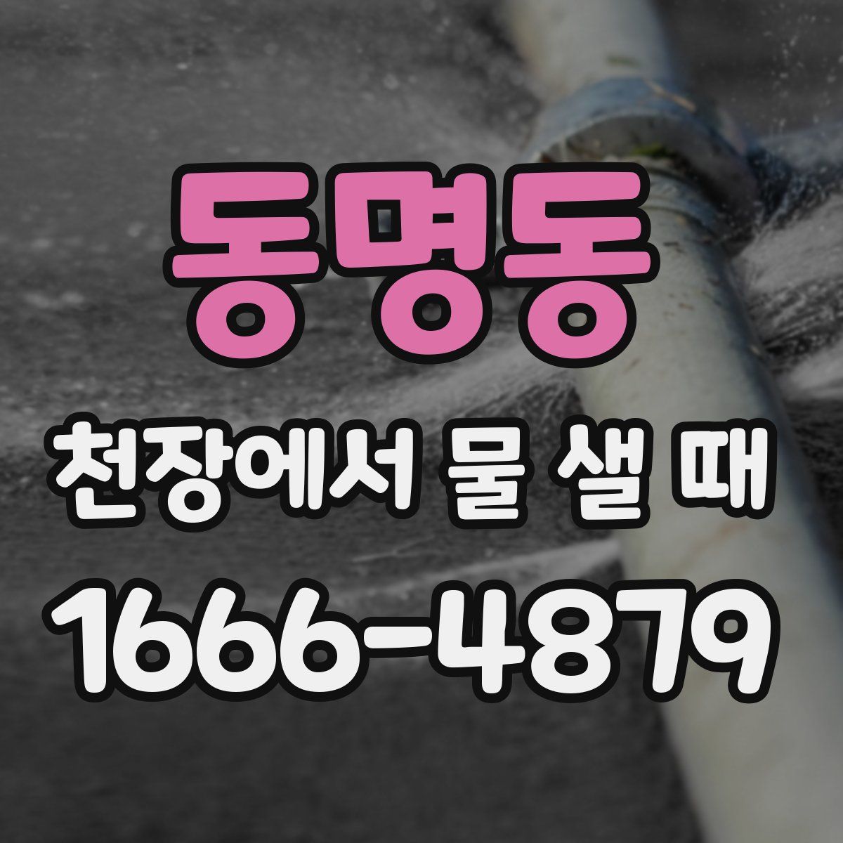 동명동 천장에서 물 샐 때