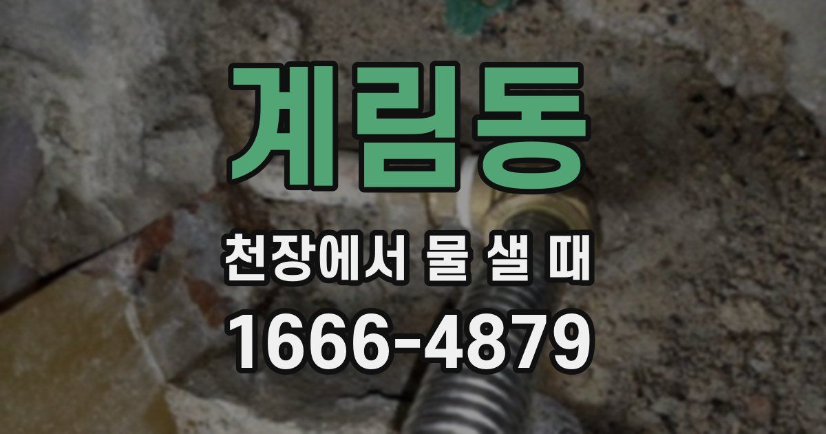 계림동 천장에서 물 샐 때