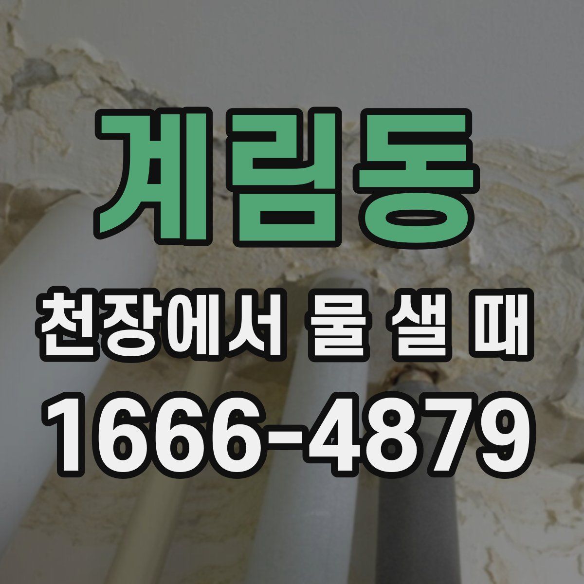 계림동 천장에서 물 샐 때