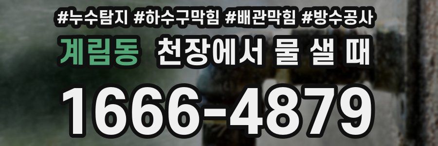 계림동 천장에서 물 샐 때