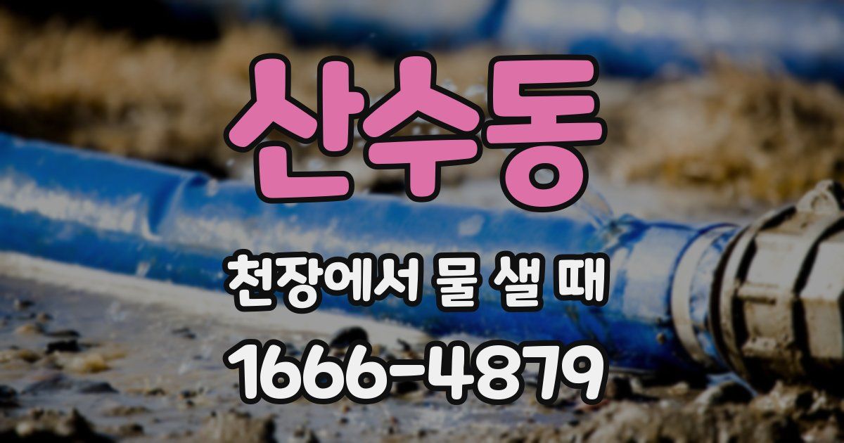 산수동 천장에서 물 샐 때