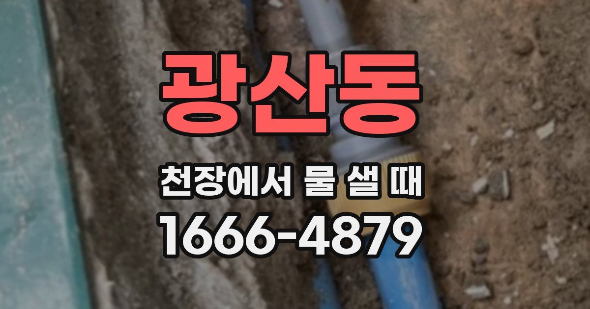 광산동 천장에서 물 샐 때