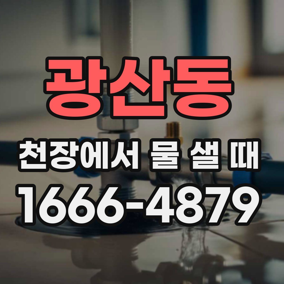 광산동 천장에서 물 샐 때