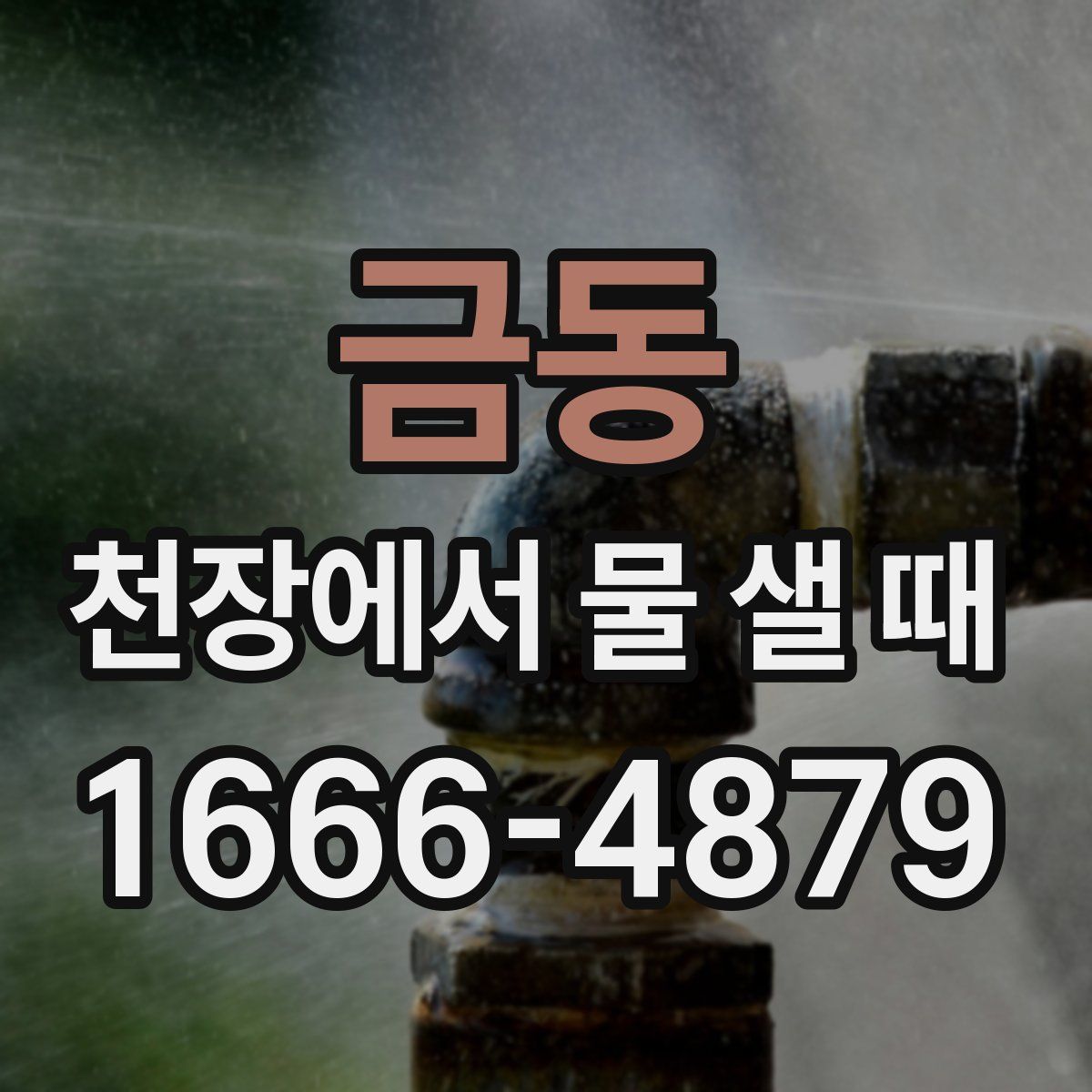 금동 천장에서 물 샐 때
