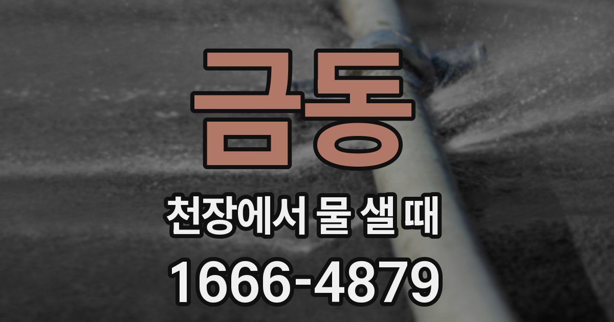 금동 천장에서 물 샐 때