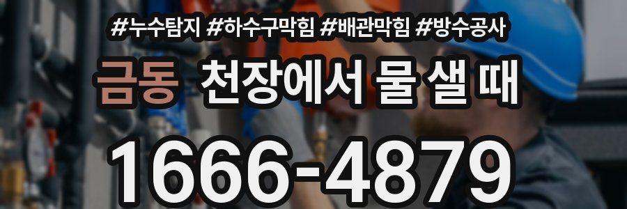 금동 천장에서 물 샐 때
