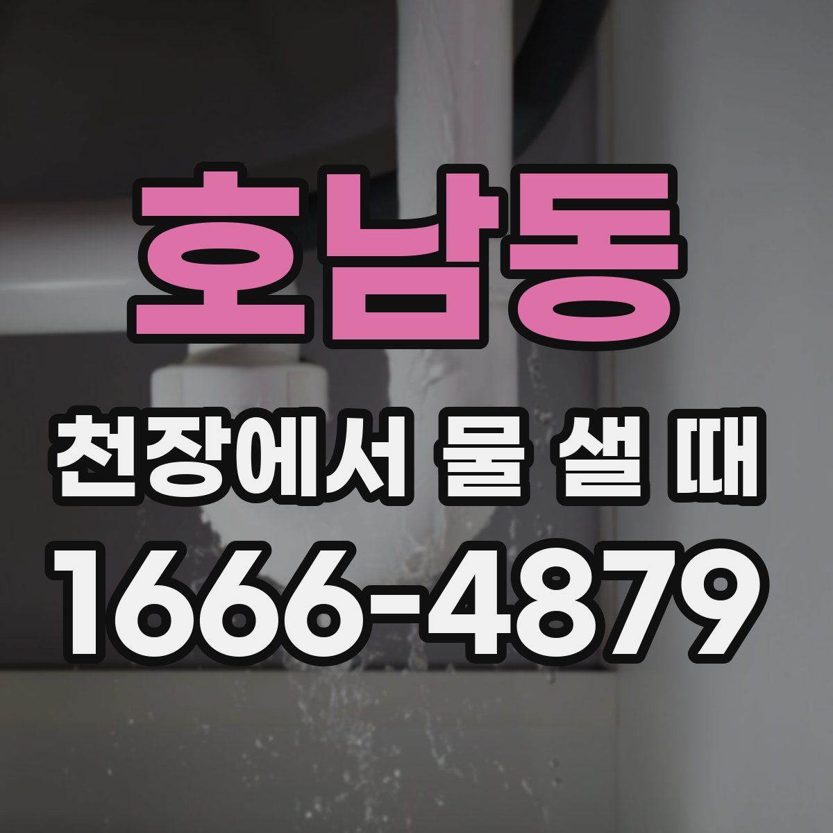 호남동 천장에서 물 샐 때