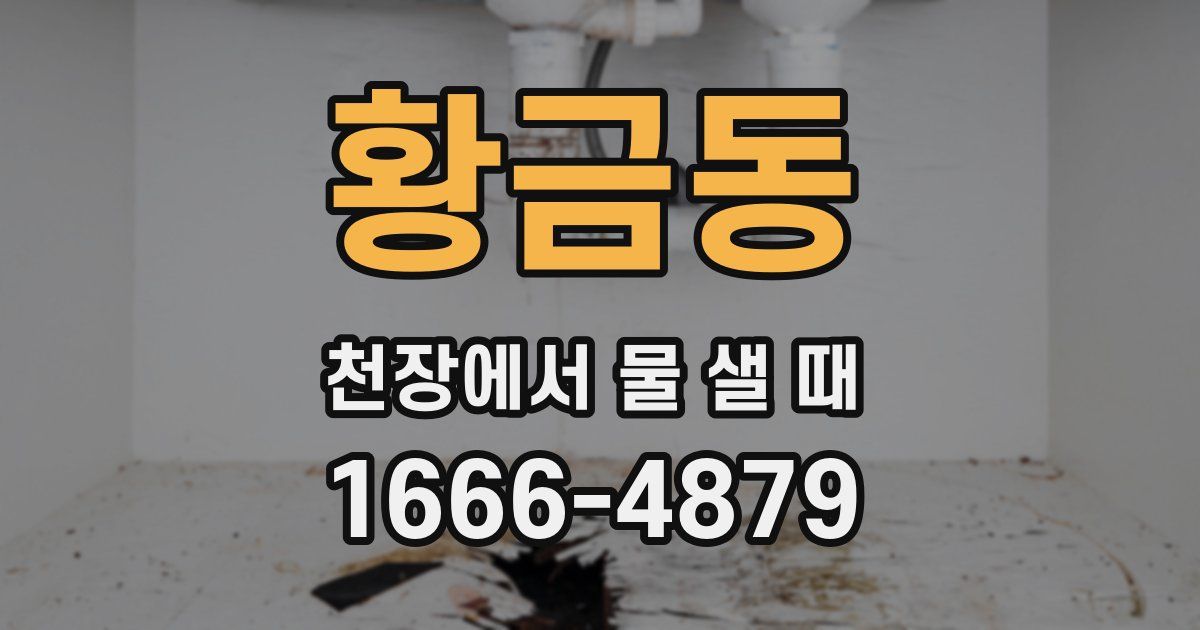 황금동 천장에서 물 샐 때
