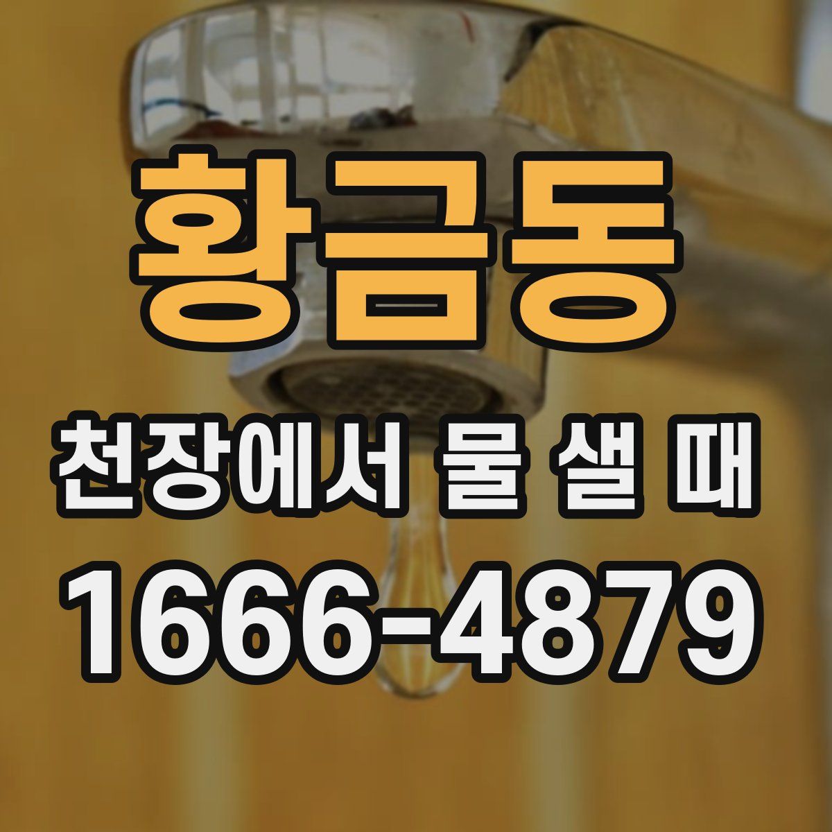 황금동 천장에서 물 샐 때