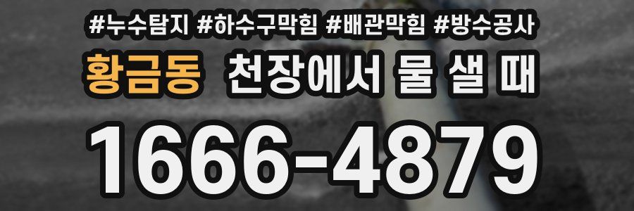 황금동 천장에서 물 샐 때