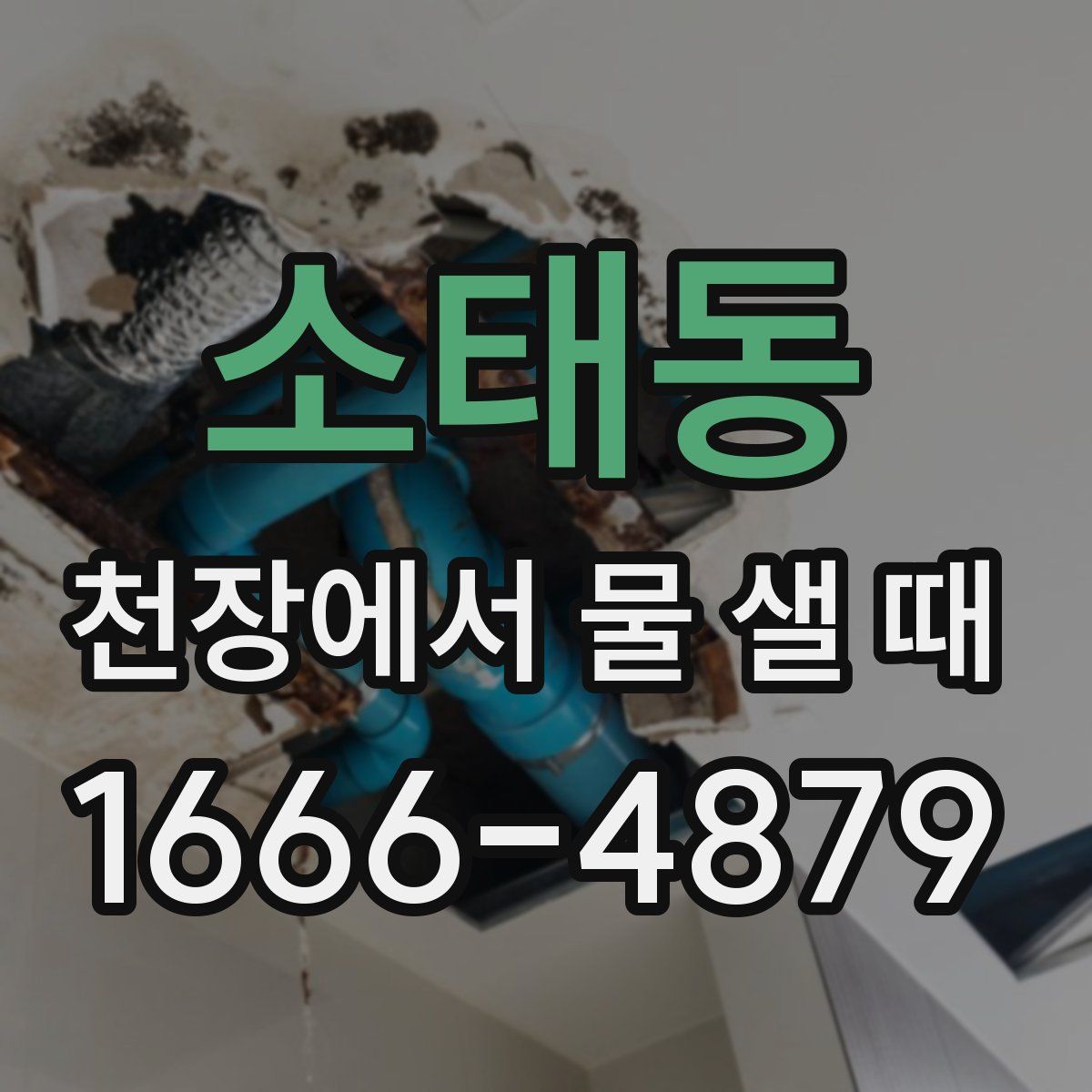 소태동 천장에서 물 샐 때