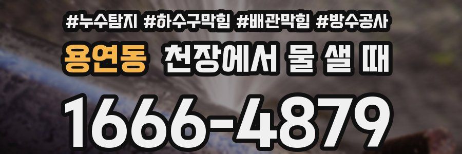 용연동 천장에서 물 샐 때