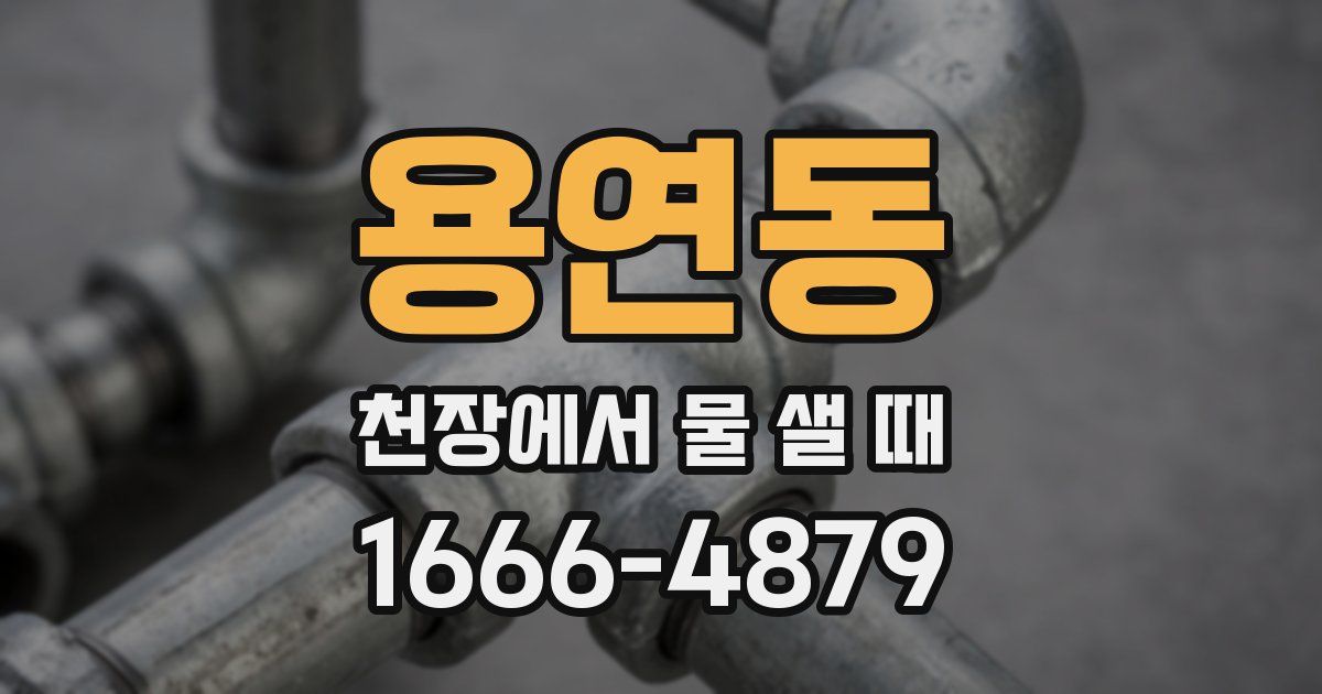 용연동 천장에서 물 샐 때