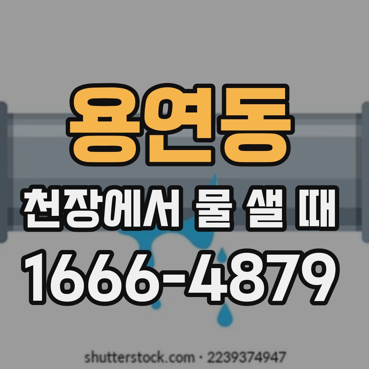 용연동 천장에서 물 샐 때