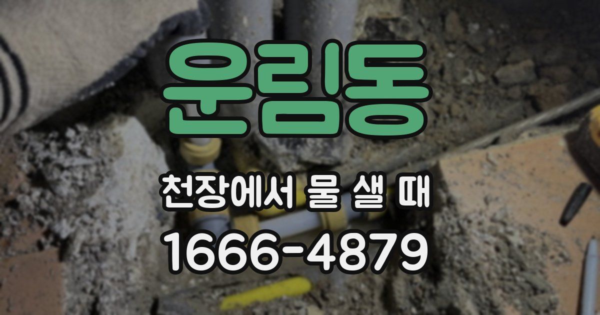 운림동 천장에서 물 샐 때