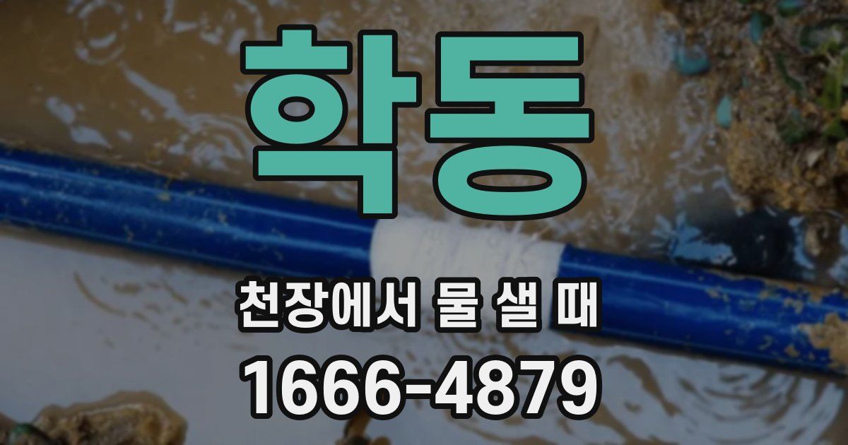 학동 천장에서 물 샐 때