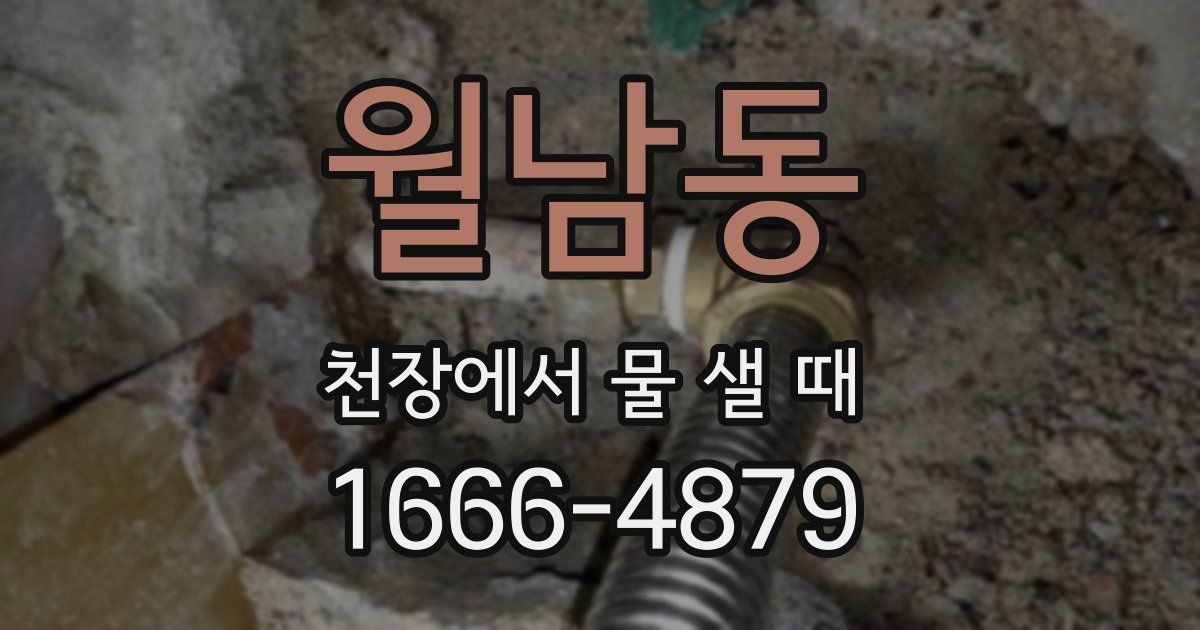 월남동 천장에서 물 샐 때