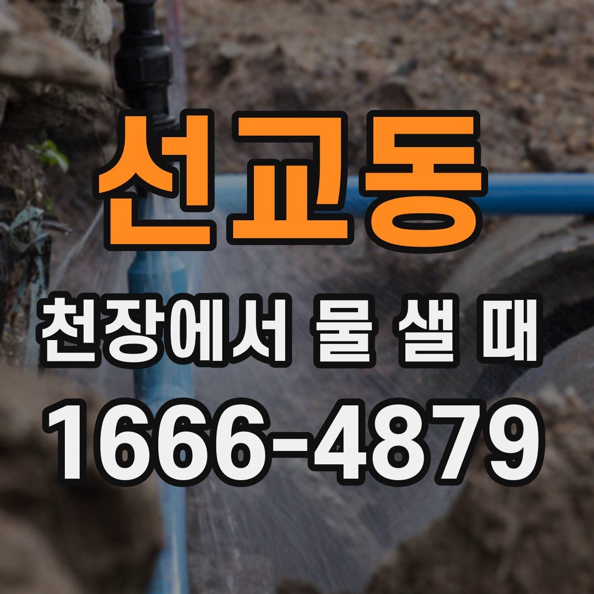 선교동 천장에서 물 샐 때