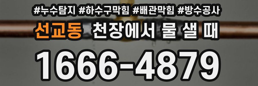 선교동 천장에서 물 샐 때