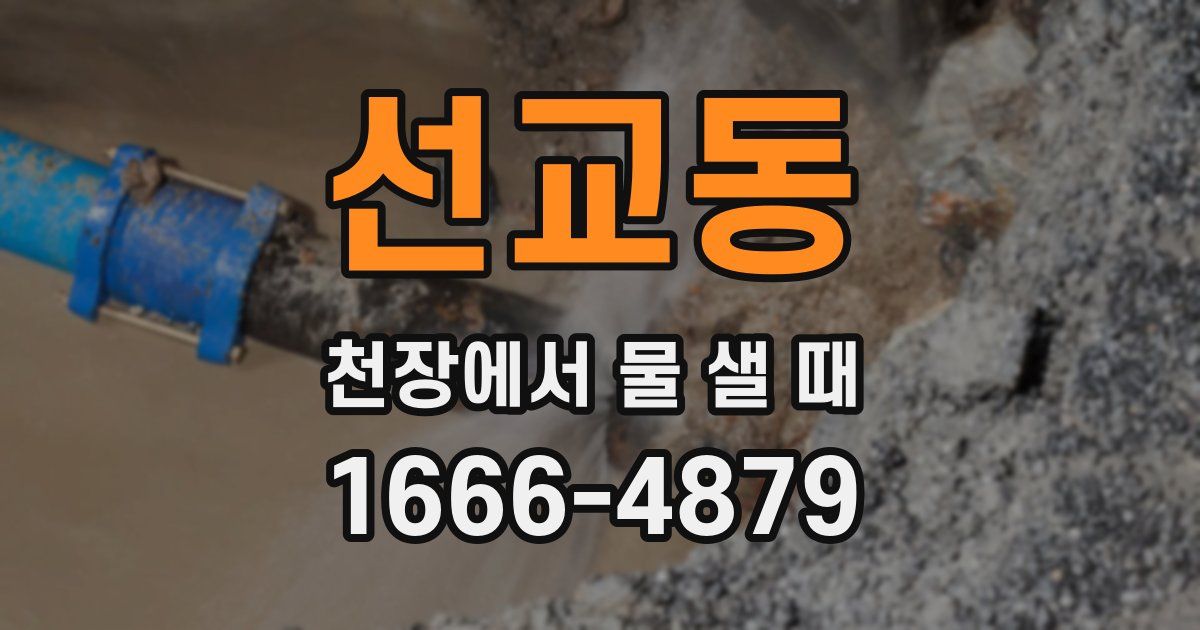 선교동 천장에서 물 샐 때