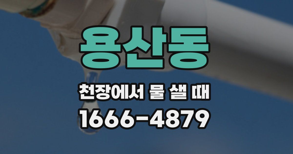 용산동 천장에서 물 샐 때