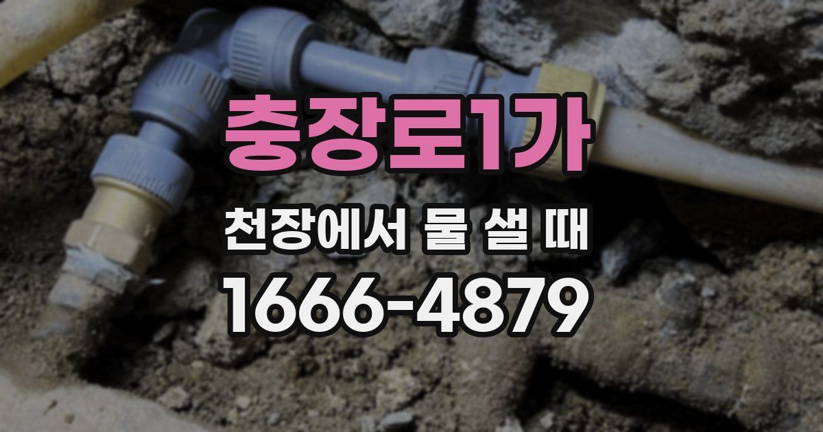 충장로1가 천장에서 물 샐 때