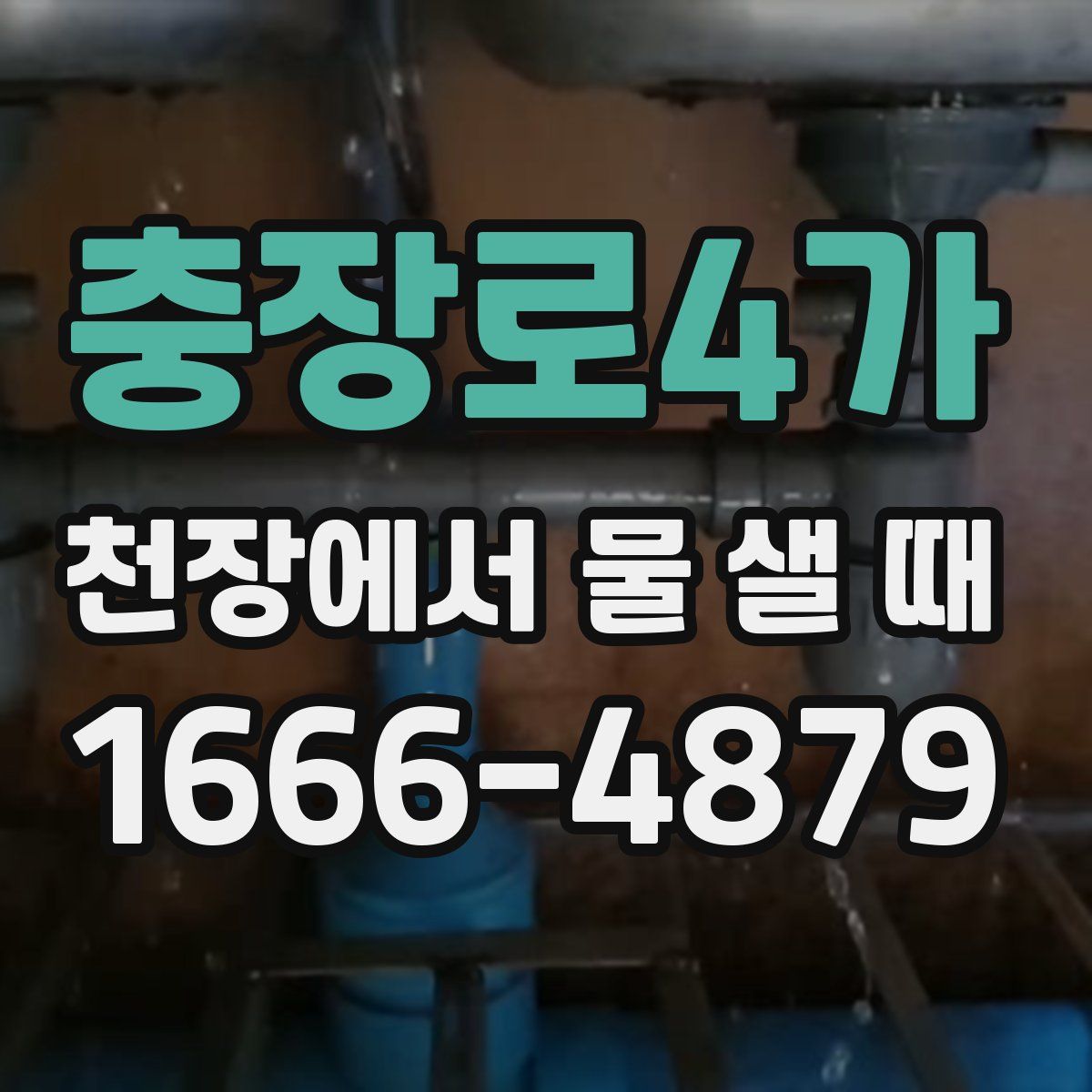 충장로4가 천장에서 물 샐 때