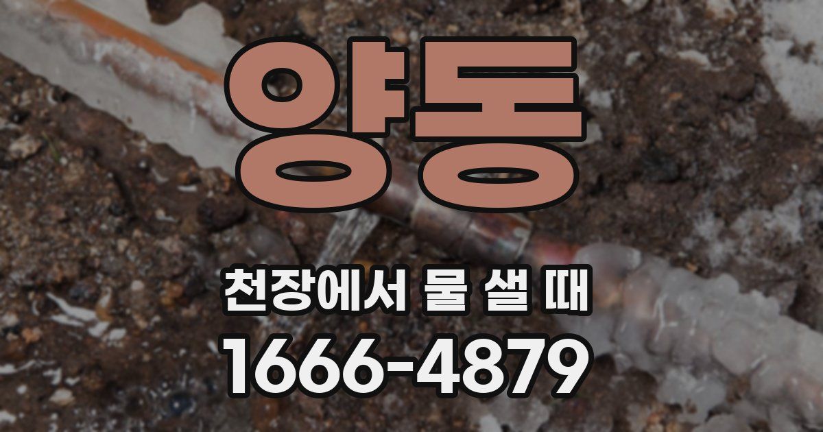 양동 천장에서 물 샐 때