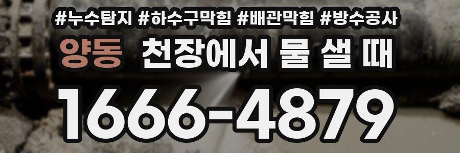 양동 천장에서 물 샐 때