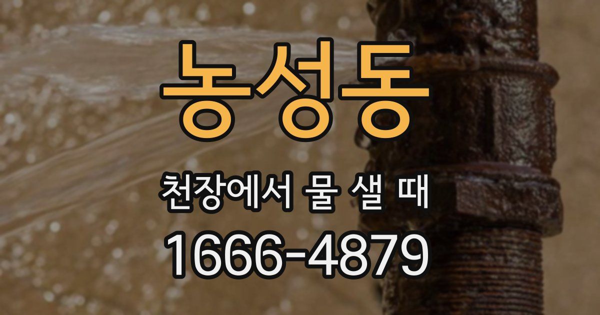 농성동 천장에서 물 샐 때
