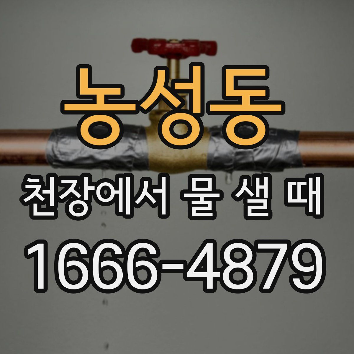 농성동 천장에서 물 샐 때