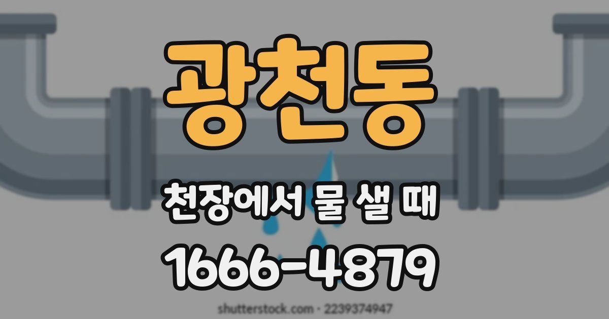 광천동 천장에서 물 샐 때