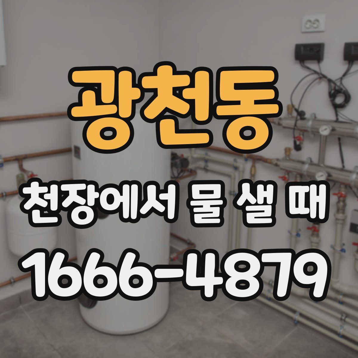 광천동 천장에서 물 샐 때