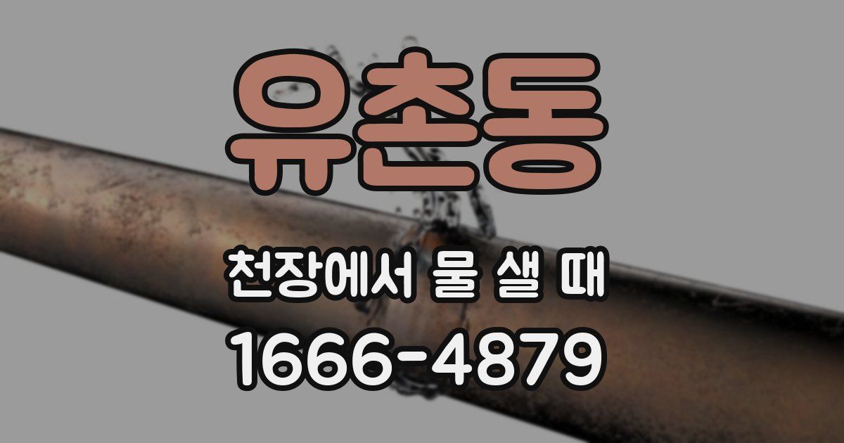 유촌동 천장에서 물 샐 때