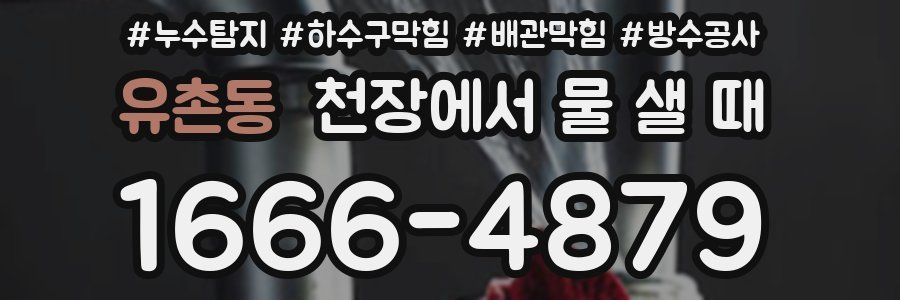 유촌동 천장에서 물 샐 때