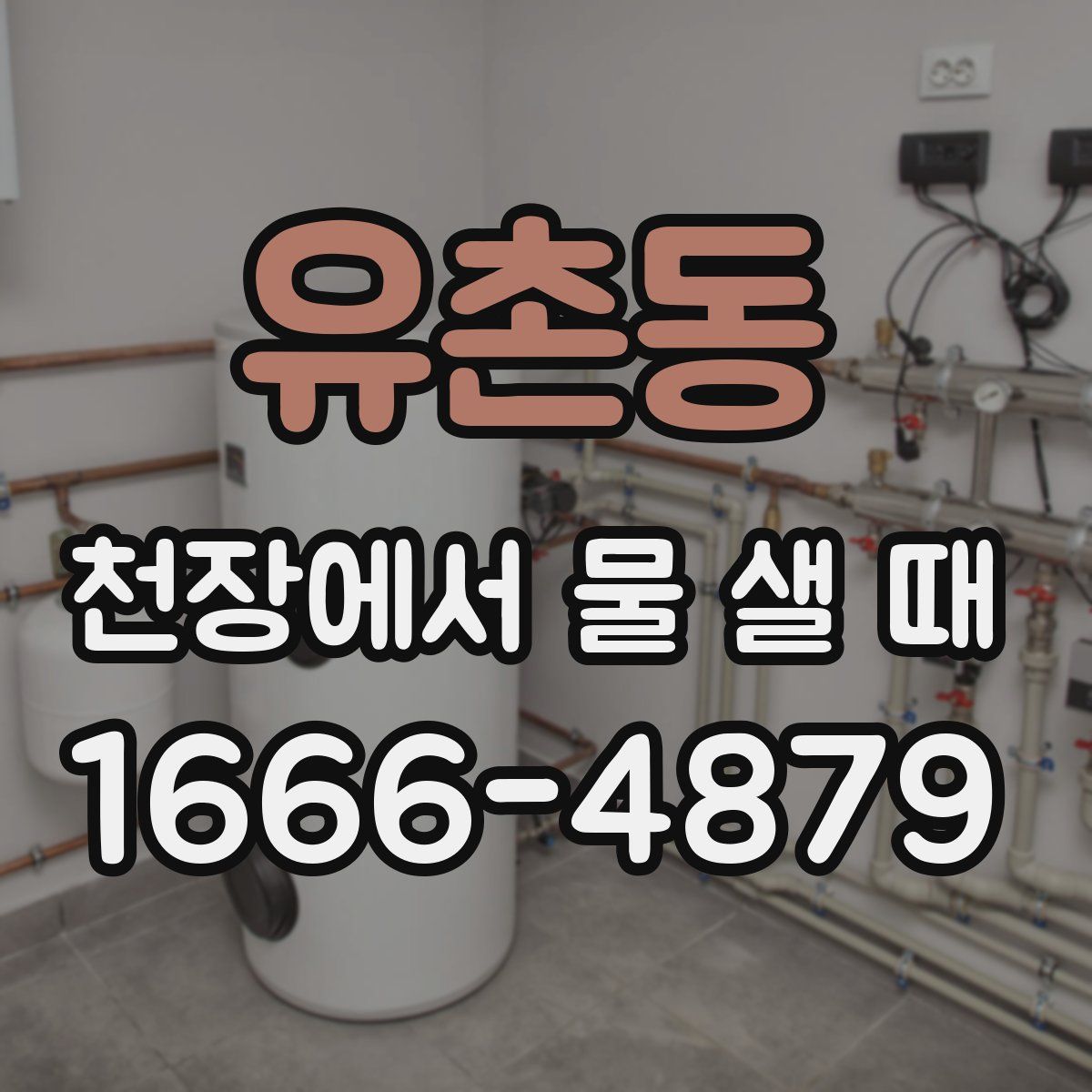 유촌동 천장에서 물 샐 때