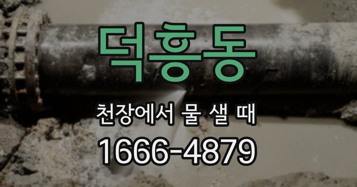 덕흥동 천장에서 물 샐 때