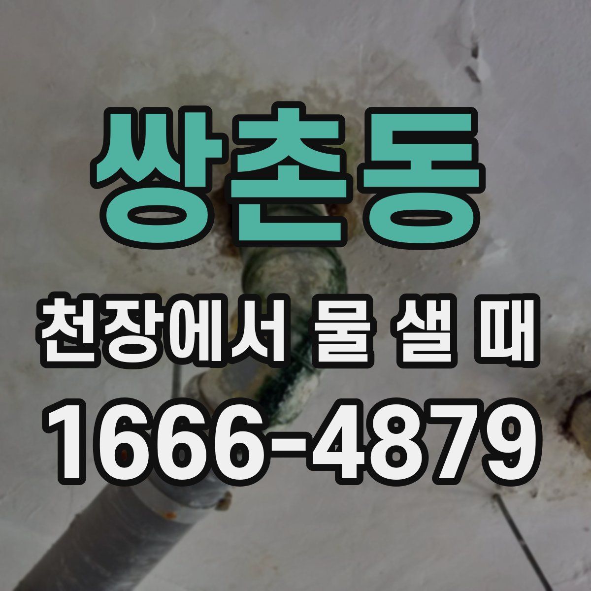 쌍촌동 천장에서 물 샐 때